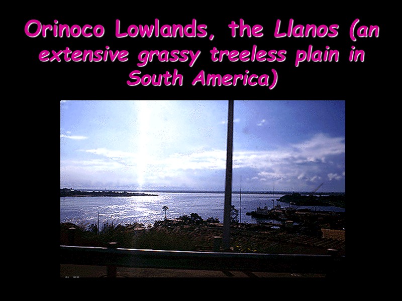 Orinoco Lowlands, the Llanos (an extensive grassy treeless plain in South America)